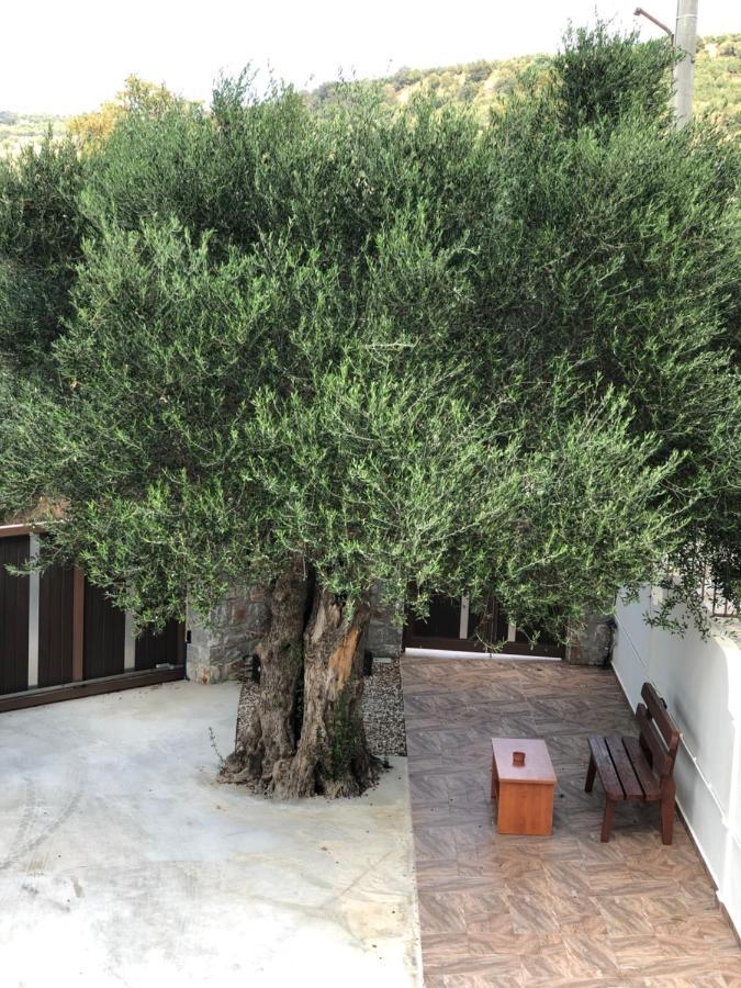 Creta Galini House Villa Sirilion Exterior photo